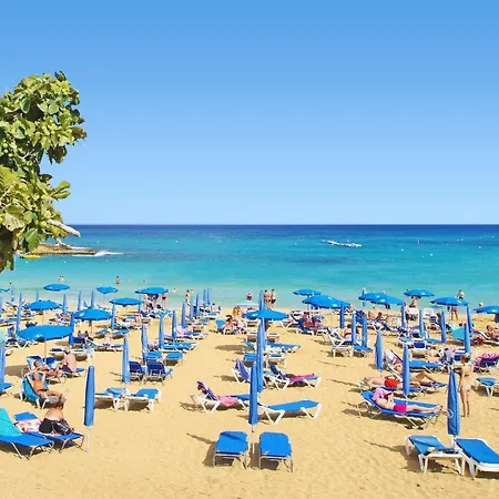 Niovi - Coralli Beachfront